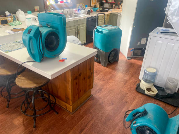 Best Water damage repair service  in Ladysmith, WI
