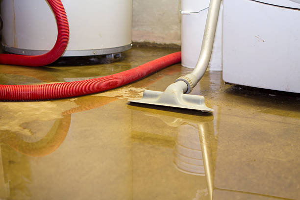 24/7 water damage repair in Ladysmith, WI