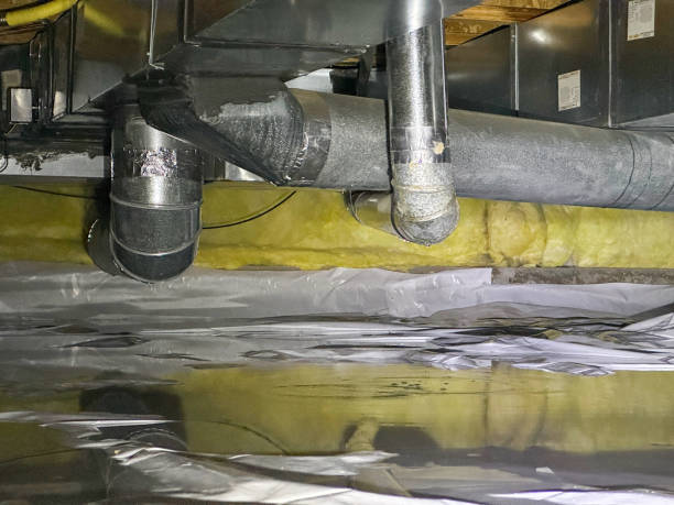 Best Flooded house restoration  in Ladysmith, WI