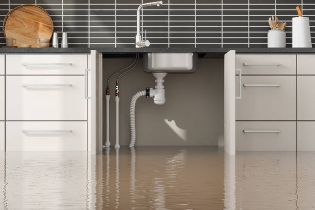 Best Flood restoration services  in Ladysmith, WI