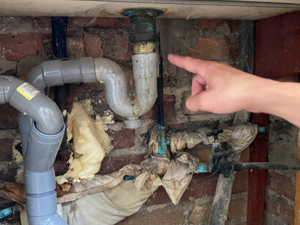 Best Water damage cleanup near me  in Ladysmith, WI